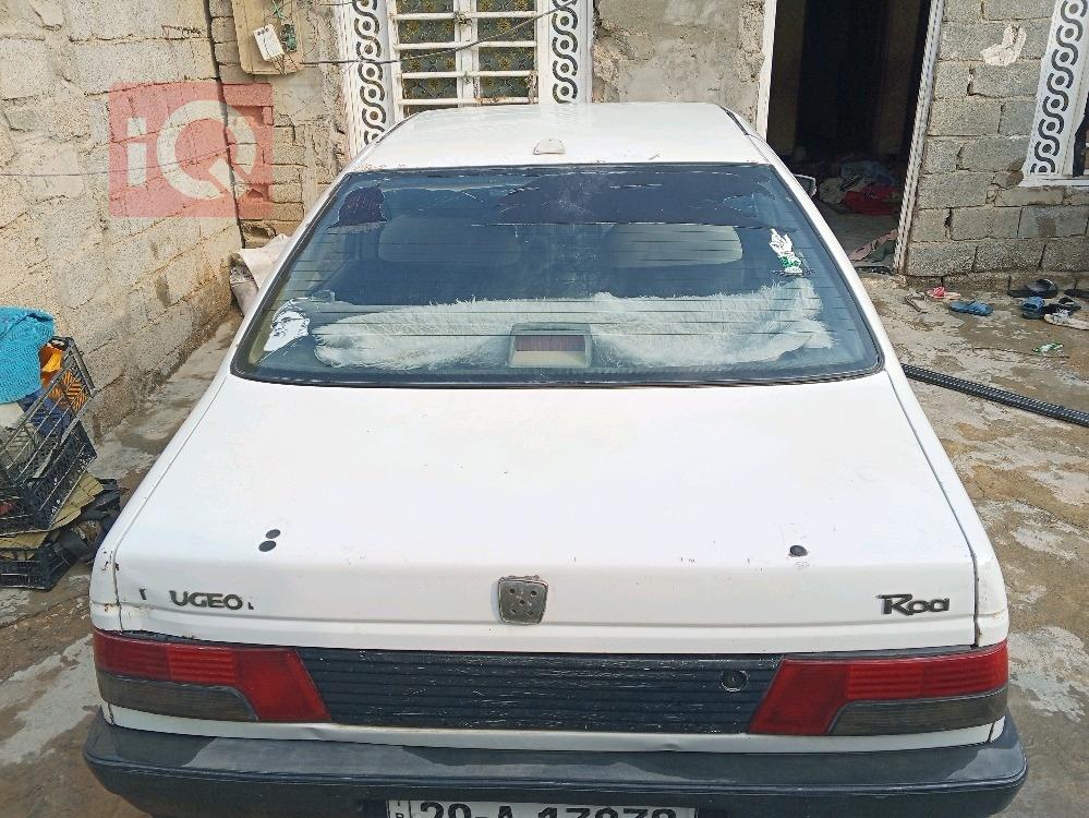 بيجو روا